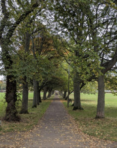 Peaceful counselling space near Romsey, Hampshire – a safe, welcoming environment for personal reflection.